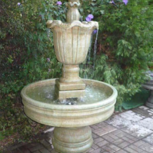 Ipomoea Fountain LG
